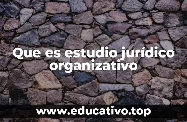 Que es estudio jurídico organizativo