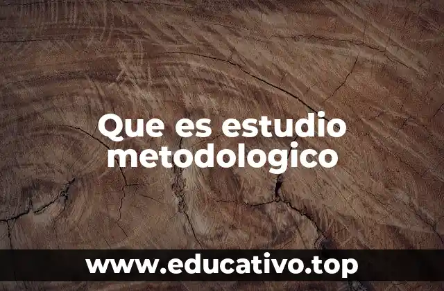 Que es estudio metodologico