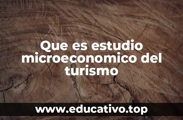 Que es estudio microeconomico del turismo