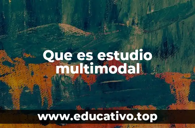 Que es estudio multimodal