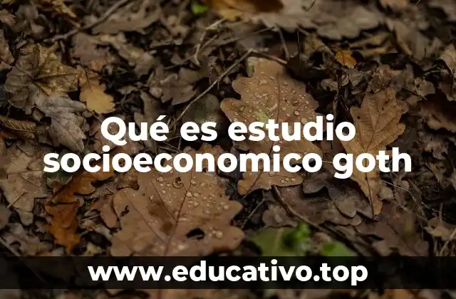 Qué es estudio socioeconomico goth