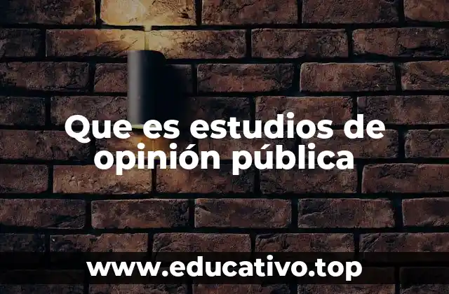 Que es estudios de opinión pública