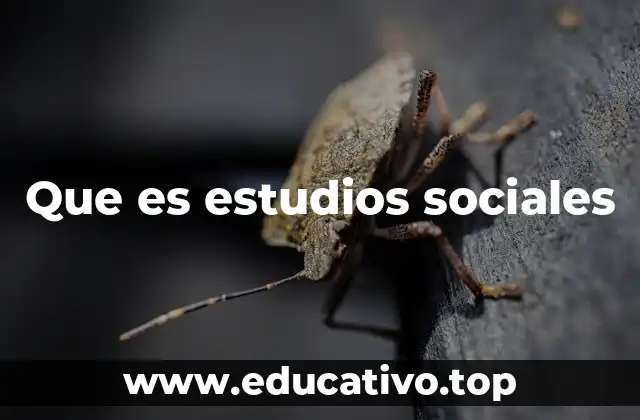 Que es estudios sociales