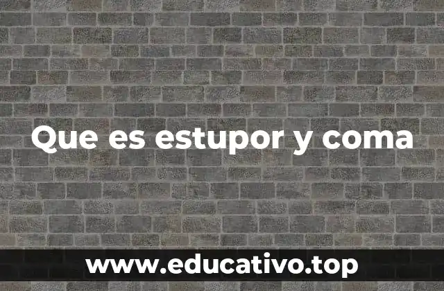 Que es estupor y coma