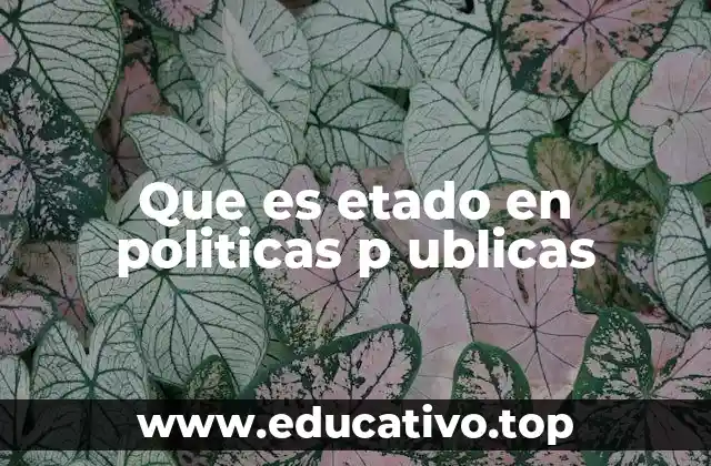 Que es etado en politicas p ublicas