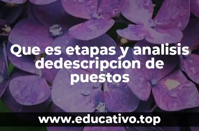 Que es etapas y analisis dedescripcion de puestos