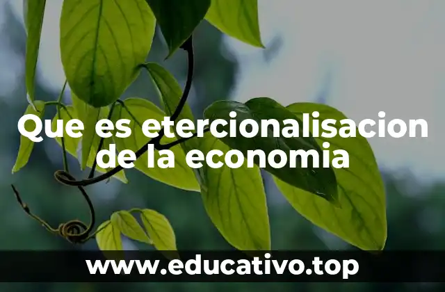 Que es etercionalisacion de la economia