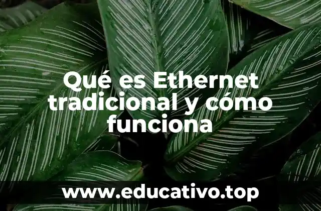 Qué es Ethernet tradicional y cómo funciona