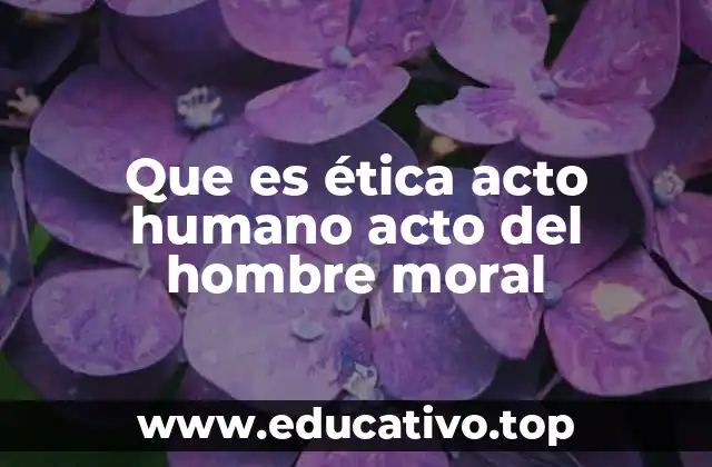 Que es ética acto humano acto del hombre moral