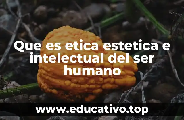 Que es etica estetica e intelectual del ser humano