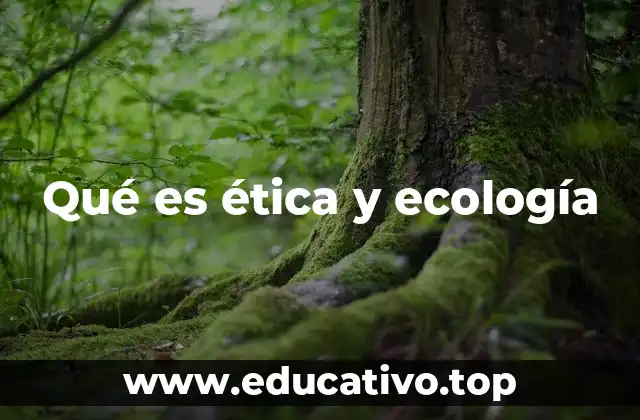 Qué es ética y ecología