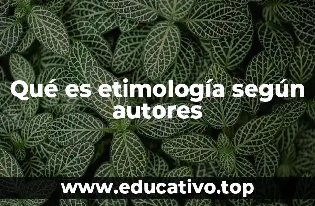 El rol de la etimología en la comprensión del lenguaje