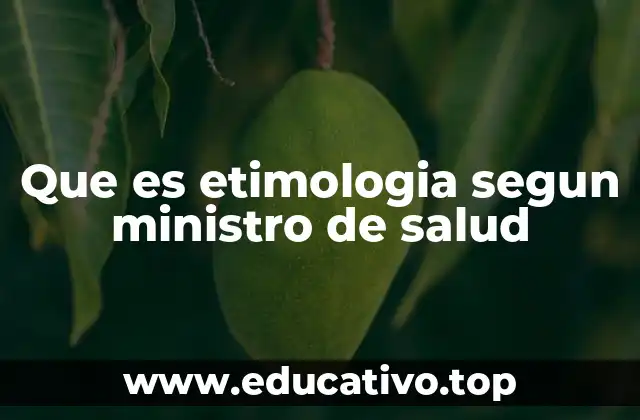 Que es etimologia segun ministro de salud