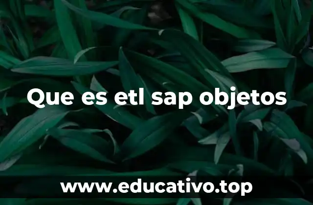 Que es etl sap objetos