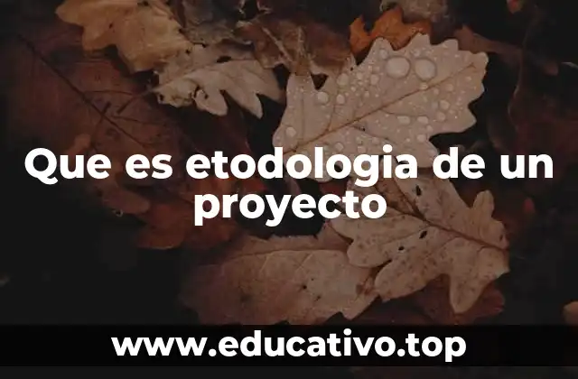 Que es etodologia de un proyecto