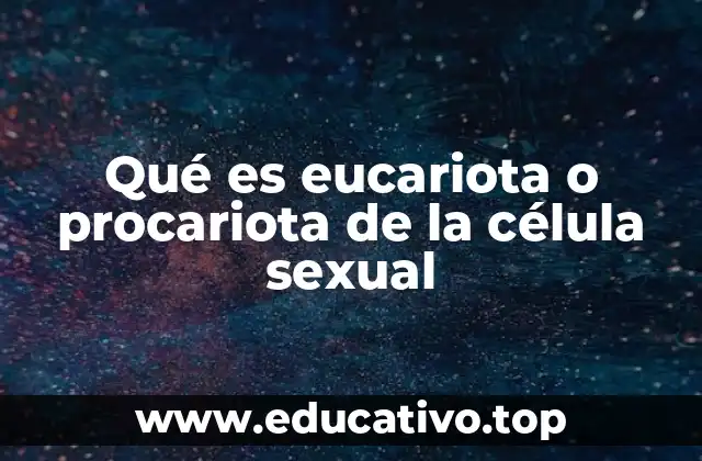 Qué es eucariota o procariota de la célula sexual