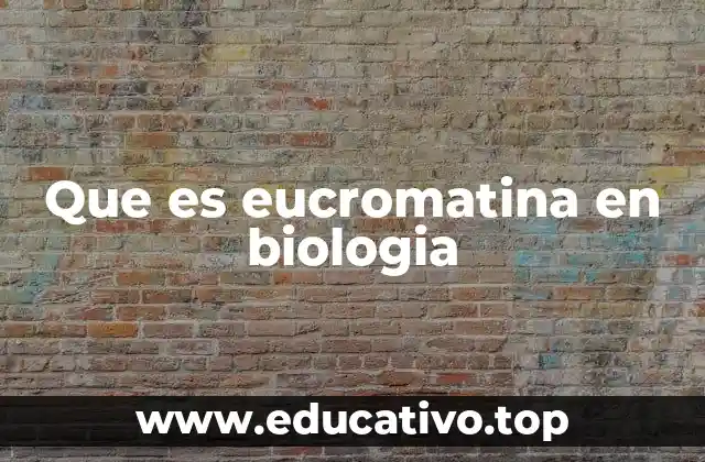 Que es eucromatina en biologia