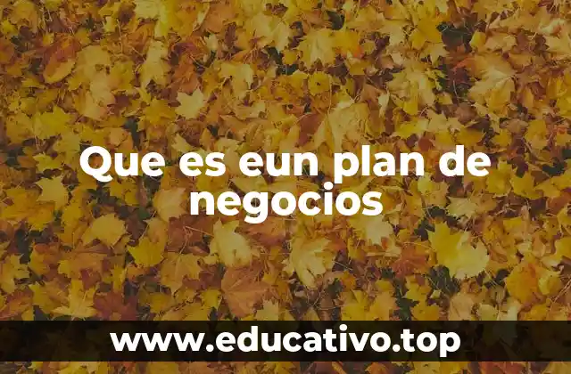 Que es eun plan de negocios