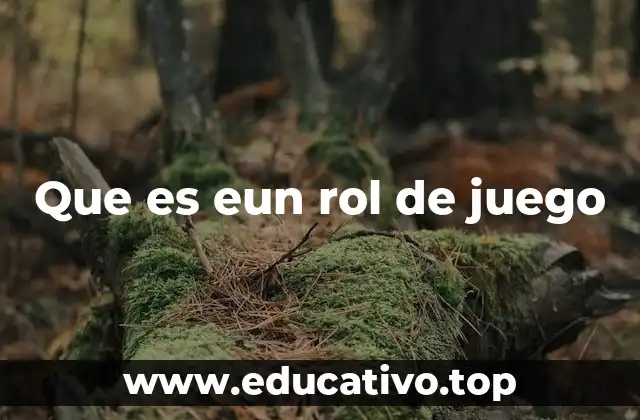 Que es eun rol de juego