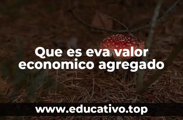 Que es eva valor economico agregado