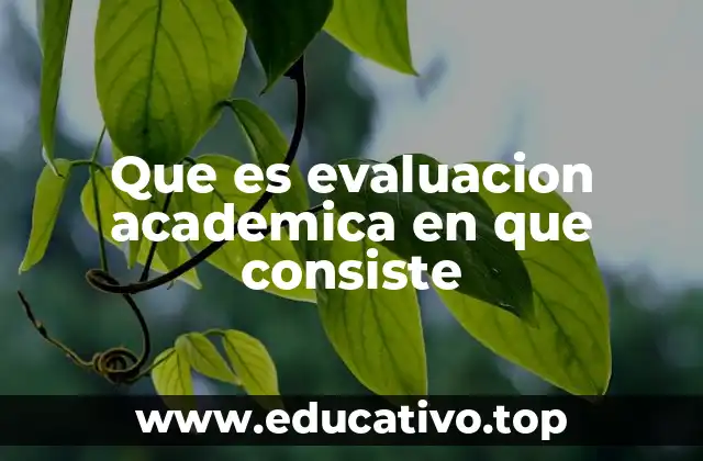 Que es evaluacion academica en que consiste
