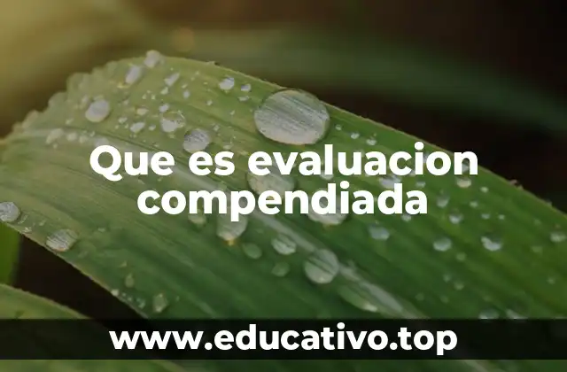 Que es evaluacion compendiada