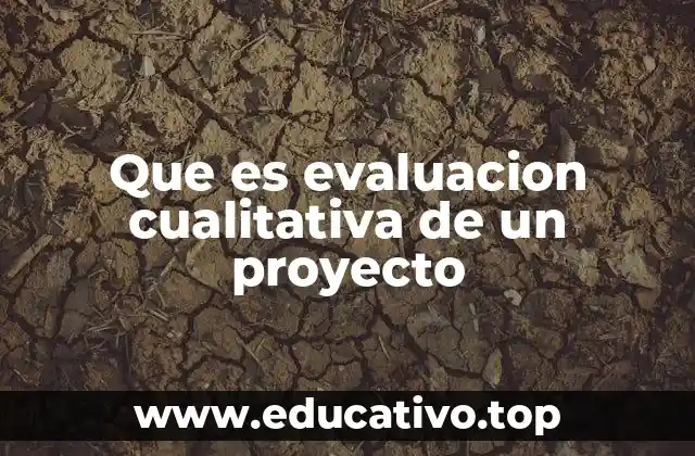Que es evaluacion cualitativa de un proyecto