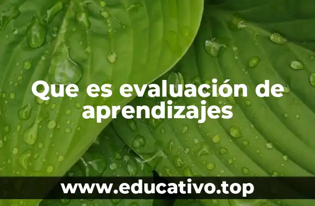 Que es evaluación de aprendizajes