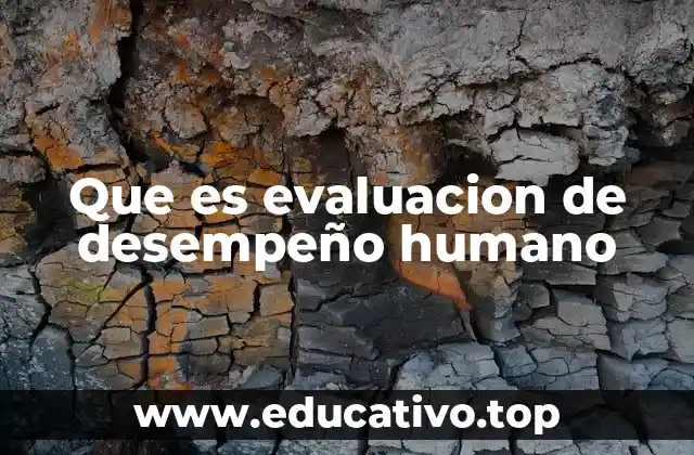 Que es evaluacion de desempeño humano