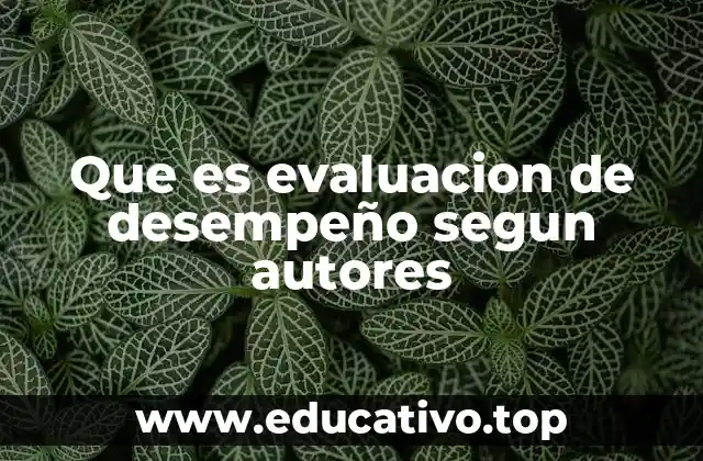 Que es evaluacion de desempeño segun autores