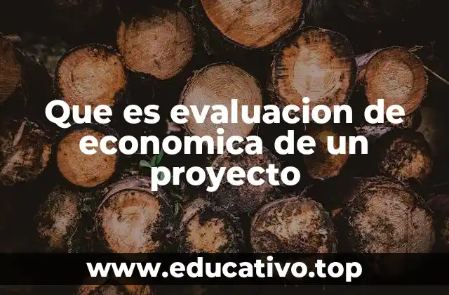 Que es evaluacion de economica de un proyecto