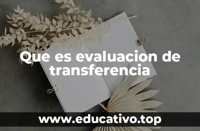 Que es evaluacion de transferencia