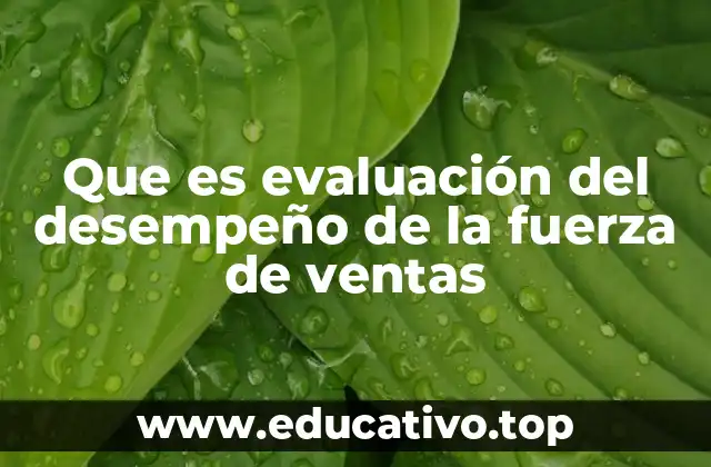 Que es evaluación del desempeño de la fuerza de ventas