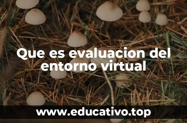Que es evaluacion del entorno virtual