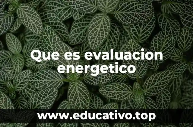 Que es evaluacion energetico