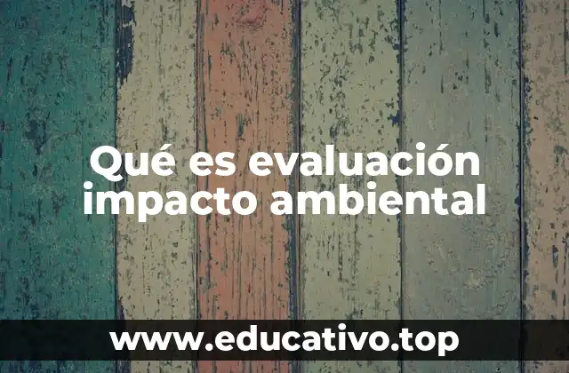 La importancia de analizar los efectos ambientales antes de construir