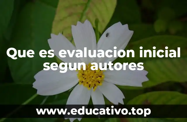 Que es evaluacion inicial segun autores