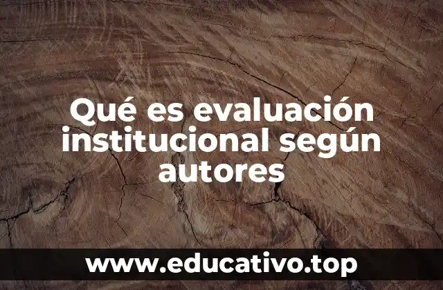 Qué es evaluación institucional según autores