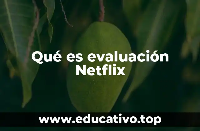 Qué es evaluación Netflix
