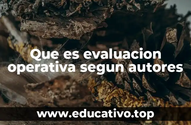 Que es evaluacion operativa segun autores