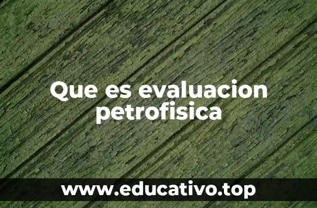 Que es evaluacion petrofisica