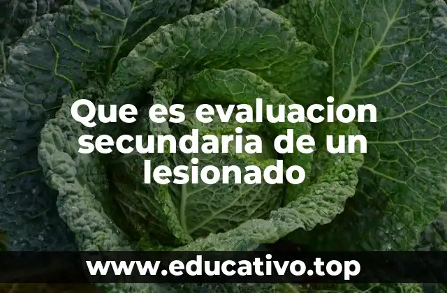 Que es evaluacion secundaria de un lesionado