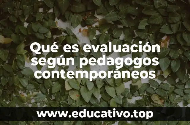 Qué es evaluación según pedagogos contemporáneos