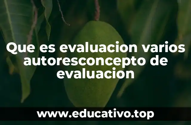 Que es evaluacion varios autoresconcepto de evaluacion