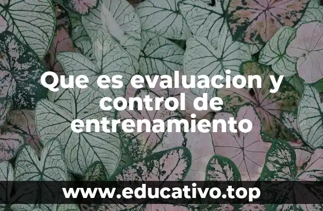 Que es evaluacion y control de entrenamiento