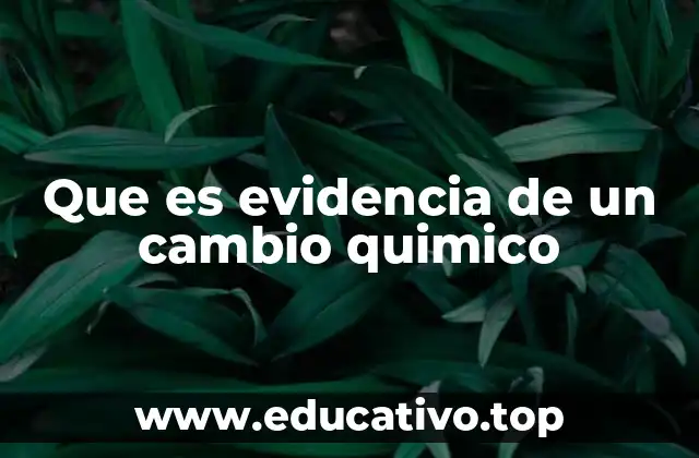 Que es evidencia de un cambio quimico