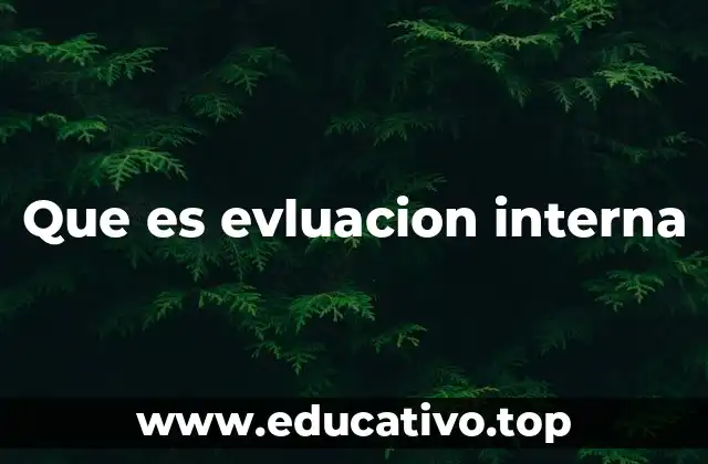 Que es evluacion interna