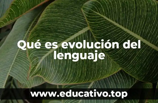Qué es evolución del lenguaje