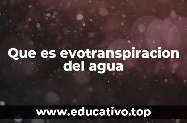 Que es evotranspiracion del agua
