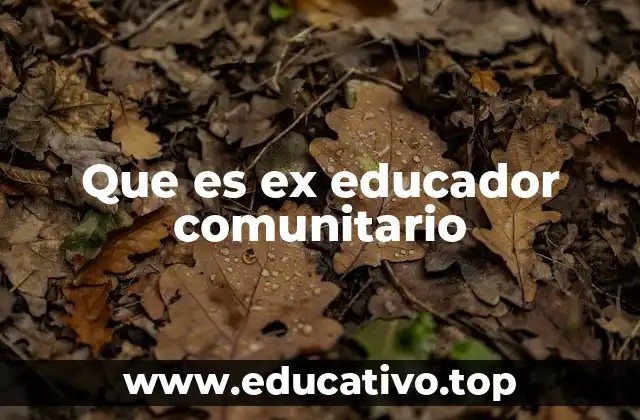 Que es ex educador comunitario